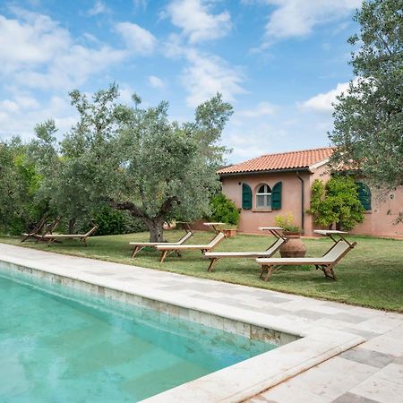 Agriturismo Tra Gli Ulivi, Chiappini Winery Болгери Экстерьер фото
