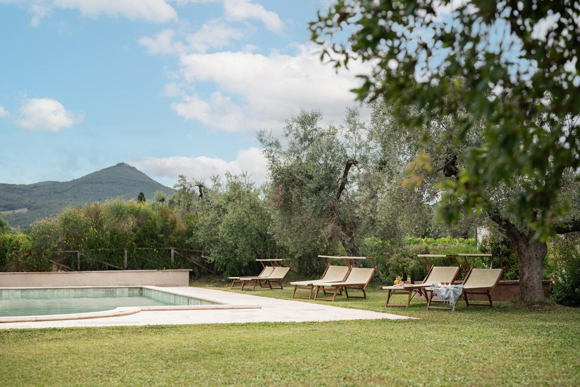 Agriturismo Tra Gli Ulivi, Chiappini Winery Болгери Экстерьер фото