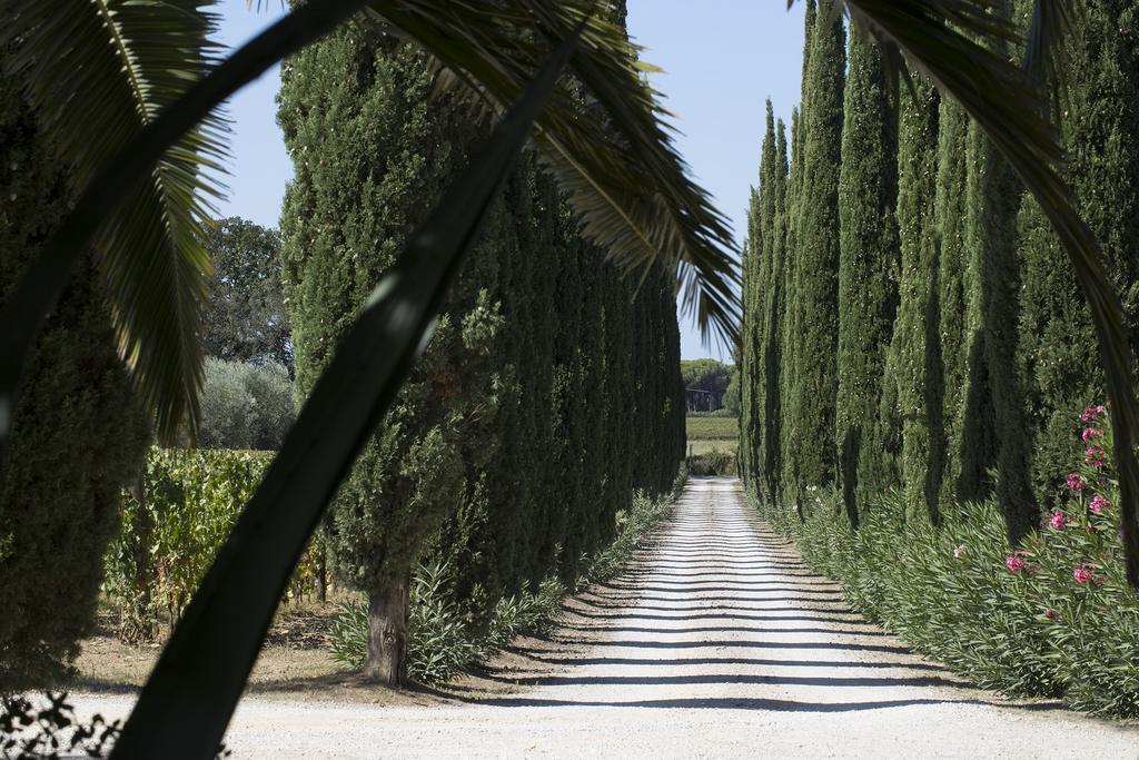 Agriturismo Tra Gli Ulivi, Chiappini Winery Болгери Экстерьер фото