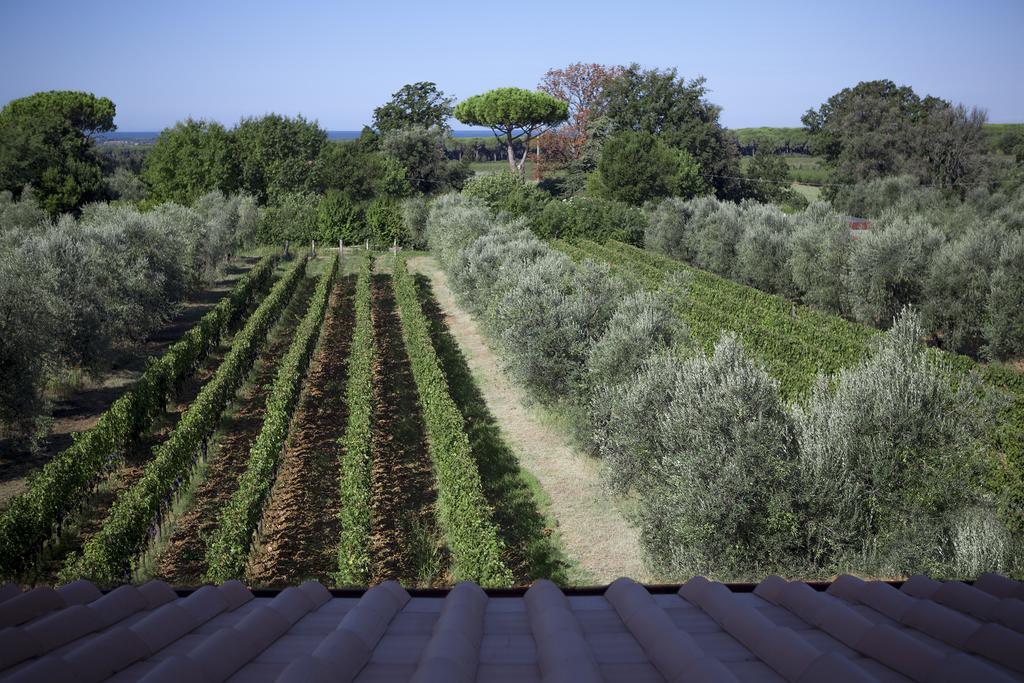 Agriturismo Tra Gli Ulivi, Chiappini Winery Болгери Экстерьер фото
